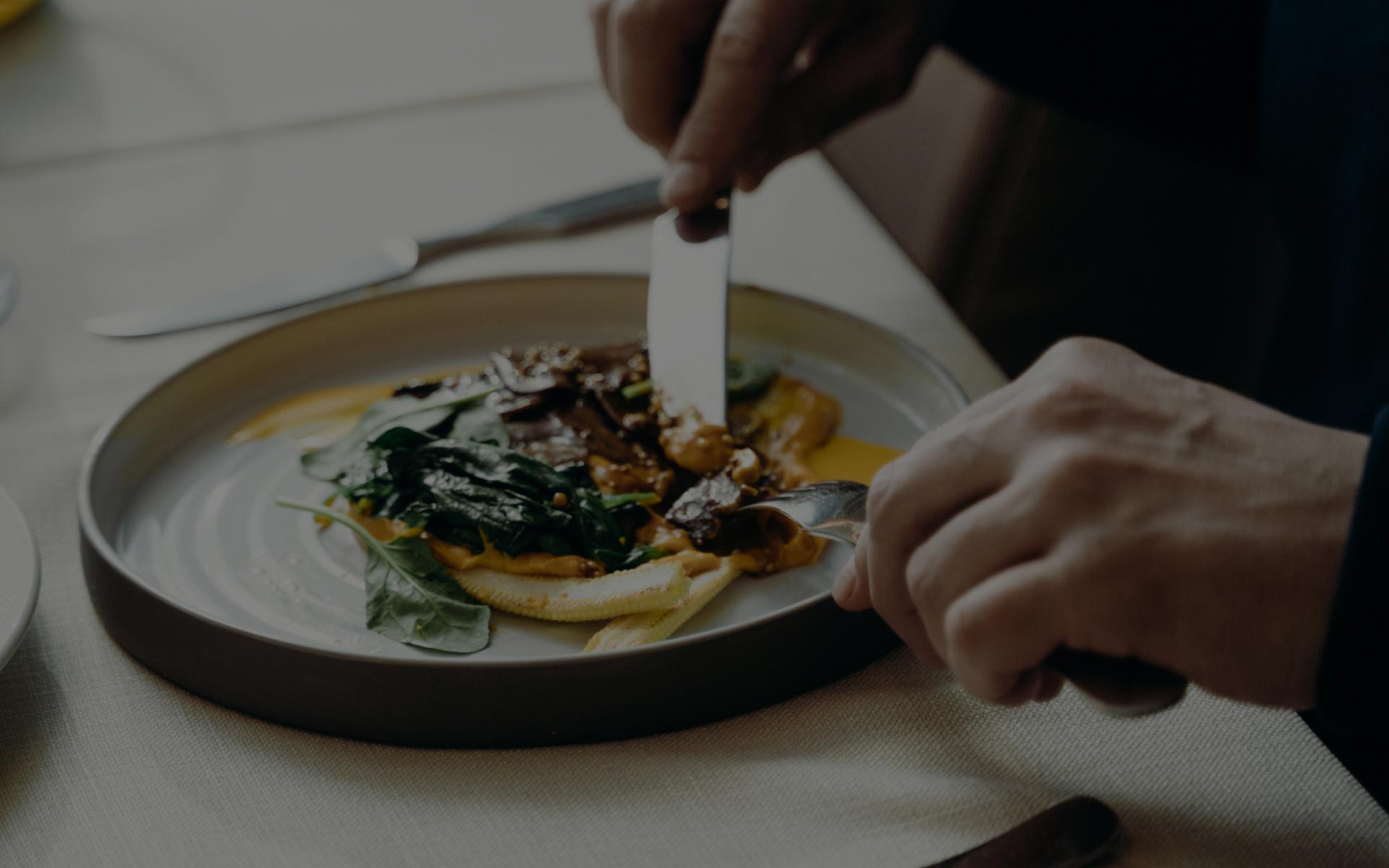 The Degustation Experience